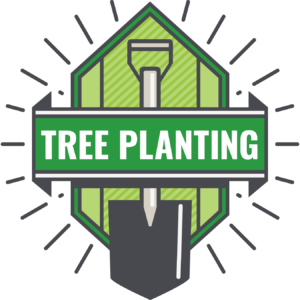 TreePlanting-217